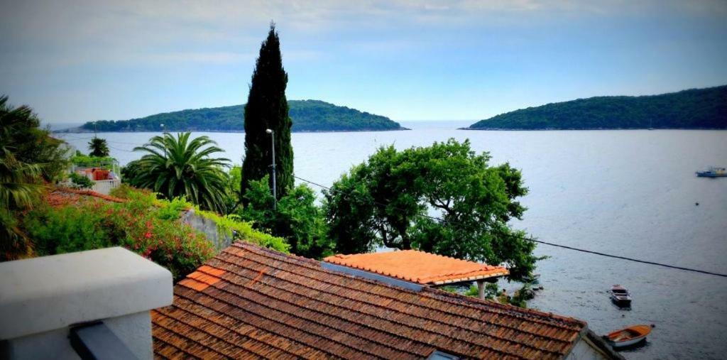 Villa Riva Molunat Exterior foto